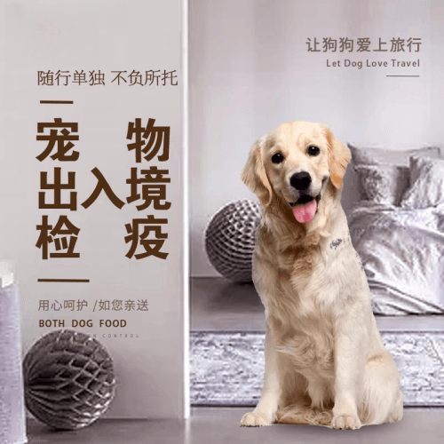 酒泉市宠物托运到哥伦比亚猫狗宠物入境规定和
