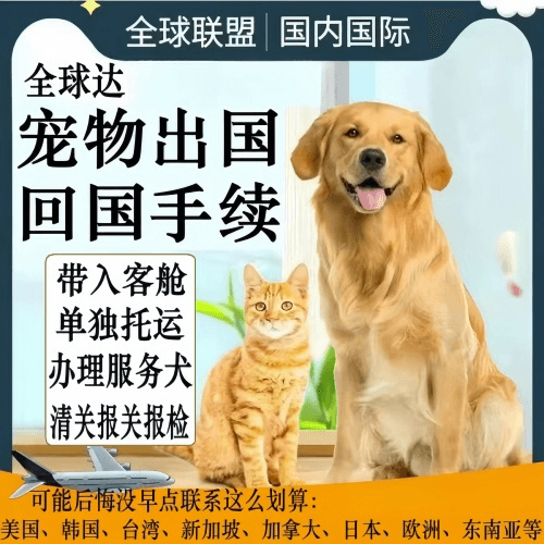 酒泉市宠物托运到柬埔寨宠物入境规定和要求