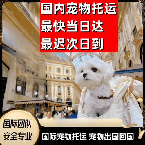 酒泉市到澳大利亚（澳洲）宠物入境规定和要求