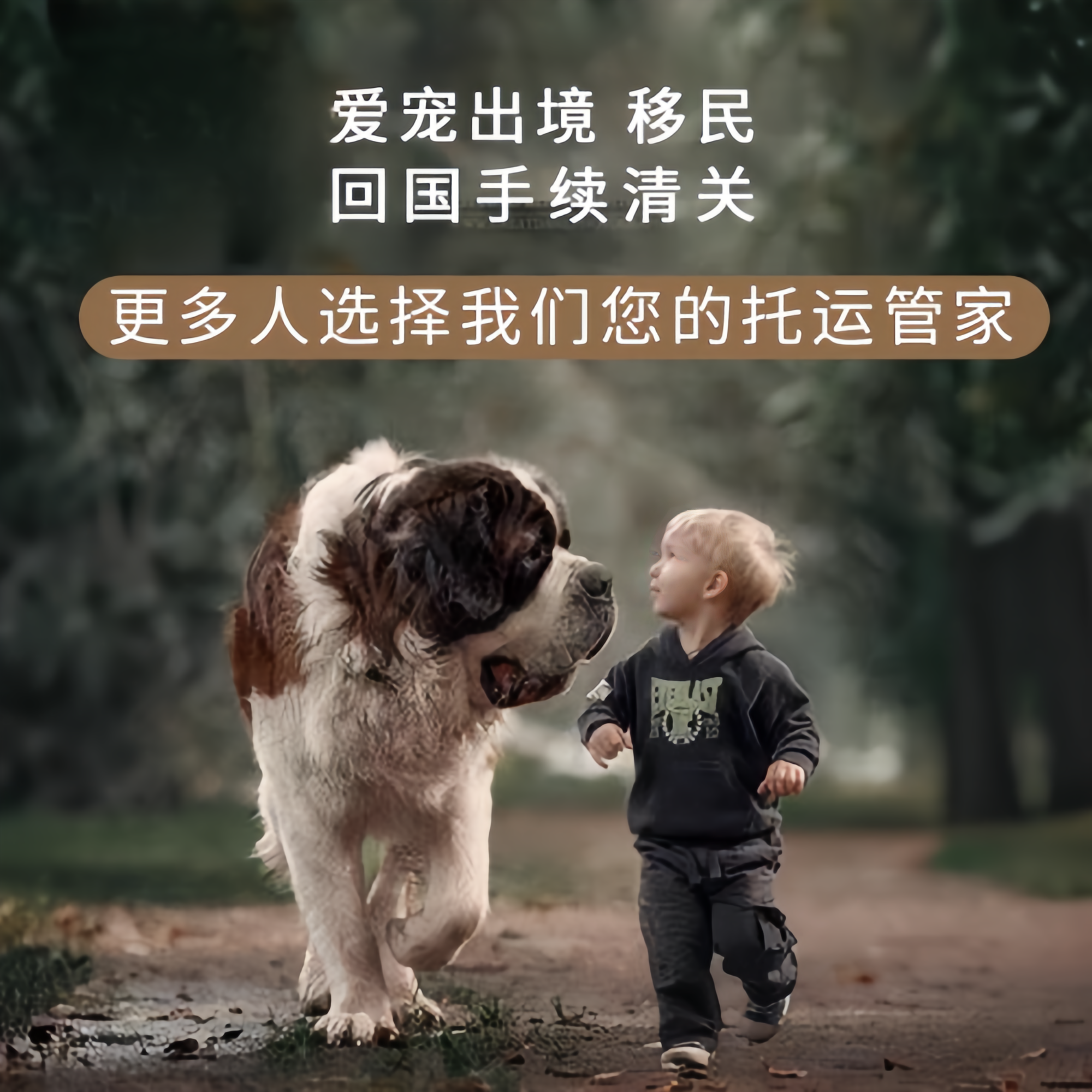 满财酒泉市宠物全球达宠物托运在遵守入境目的地政策的条件
