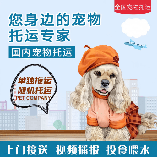 满财酒泉市宠物全球达宠物托运作为专业的宠物运输代理机构